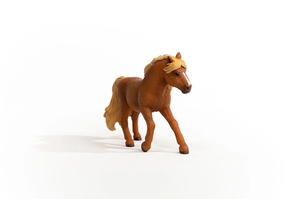 ICELAND PONY STALLION - babykid