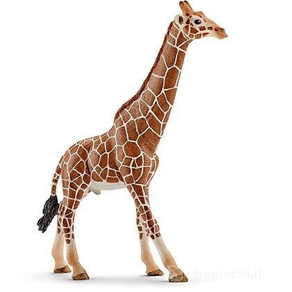 GIRAFFA MASCHIO - Babykid