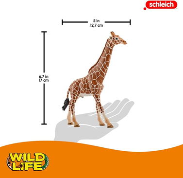 GIRAFFA MASCHIO - Babykid