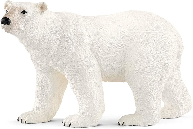 ORSO POLARE - Babykid