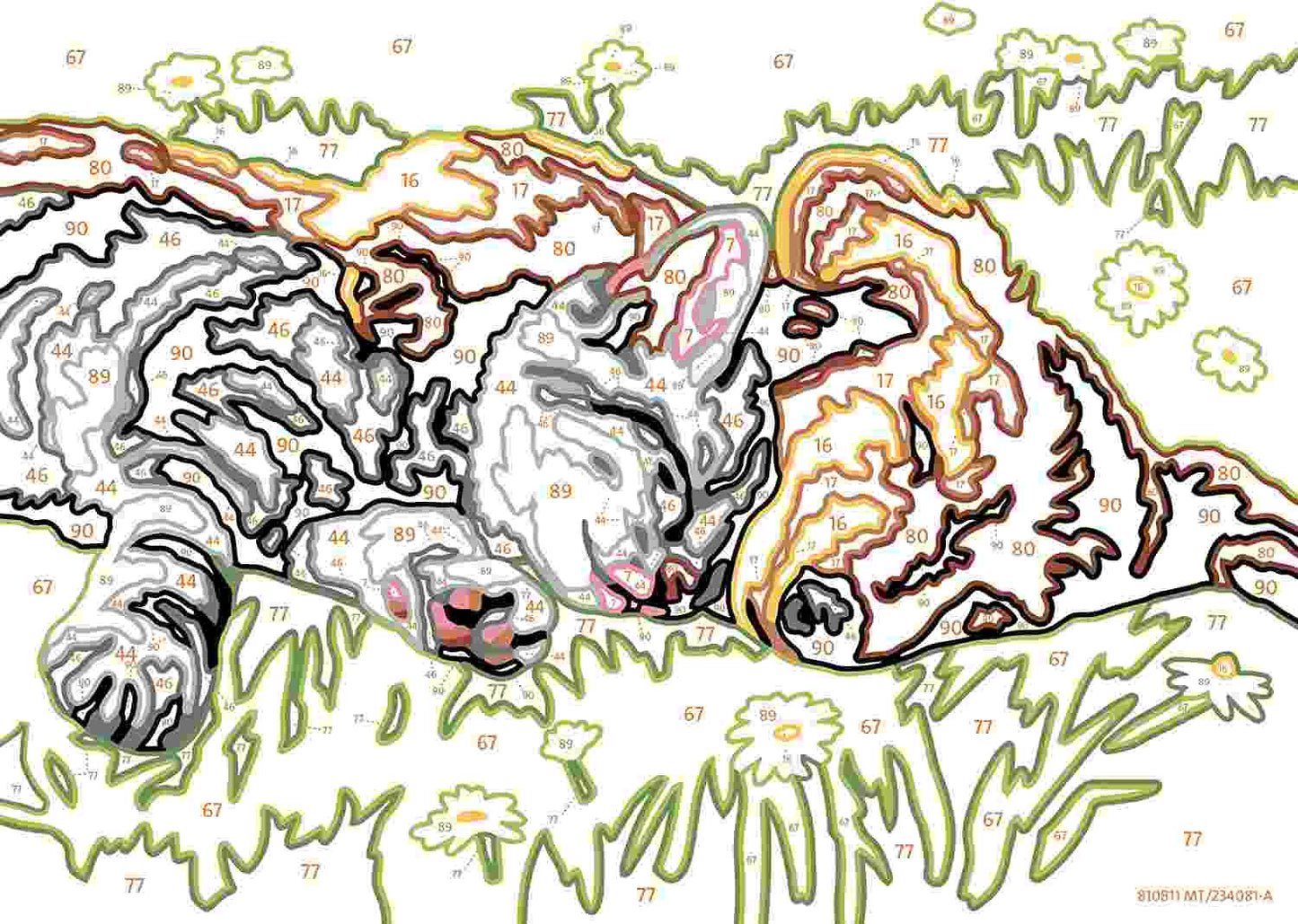CREART SERIE E CLASSIC - CANE E GATTO DOLCE SONNO