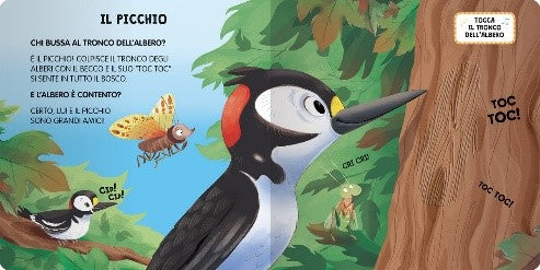 BOSCO (IL)