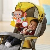 NOE SCIMMIETTA CANTERINA