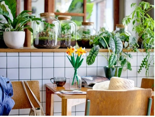 LEGO BOTANICALS - NARCISI - 40747 - Babykid