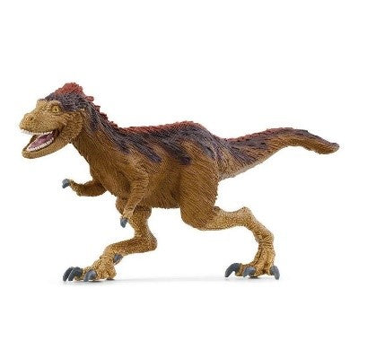 MOROS INTREPIDUS - Babykid