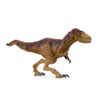 MOROS INTREPIDUS - Babykid