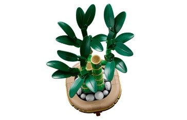 LEGO BOTANICALS - BAMBô DEL BUON AUSPICIO - 10344