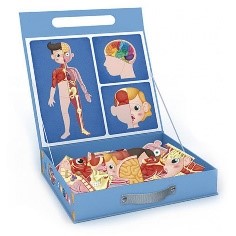 HUMAN BODY - Babykid