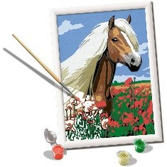 CREART SERIE D CLASSIC - CAVALLO HAFLINGER - Babykid