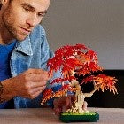 LEGO - BONSAI DI ACERO ROSSO GIAPPONESE - 10348 - Babykid