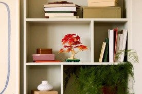LEGO - BONSAI DI ACERO ROSSO GIAPPONESE - 10348 - Babykid