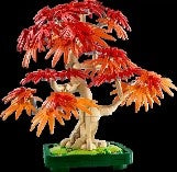 LEGO BOTANICALS - BONSAI DI ACERO ROSSO GIAPPONESE - 10348