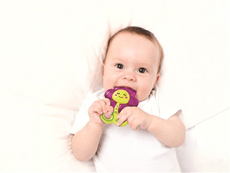 REFRIGERATED LION TEETHER - babykid