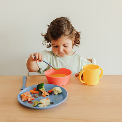 MEALSET EXPLORER