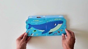 AMICI DEL MARE - PRIMI LIBRI FINESTRELLE - babykid