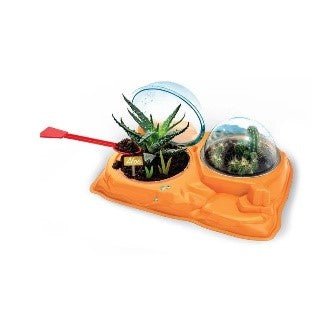 BOTANICA PIANTE GRASSE - babykid