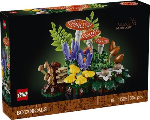 BOTANICALS - FUNGHI DEL BOSCO - 11505 - babykid