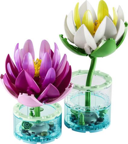 BOTANICALS - NINFEE - 11511 - babykid