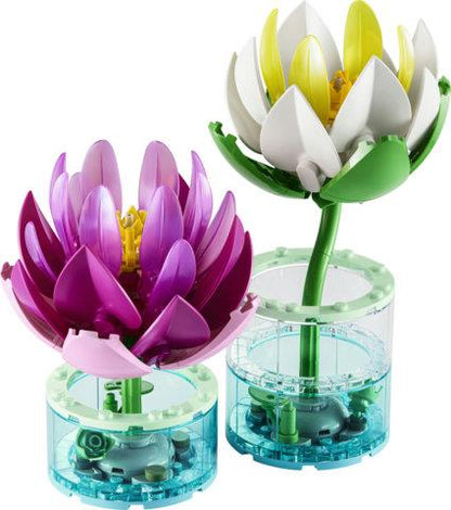 BOTANICALS - NINFEE - 11511 - babykid