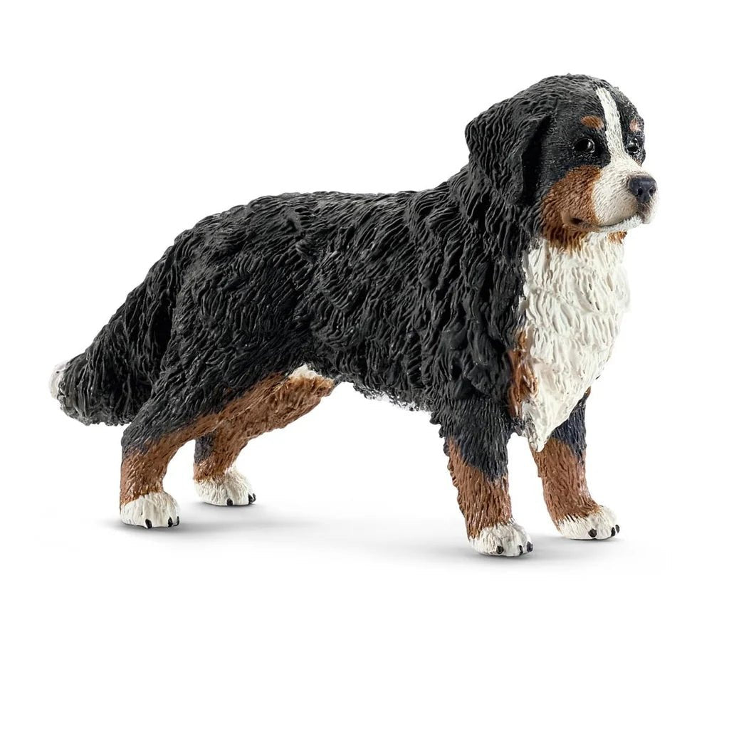 BOVARO BERNESE FEMMINA - babykid