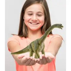 BRACHIOSAURO - babykid