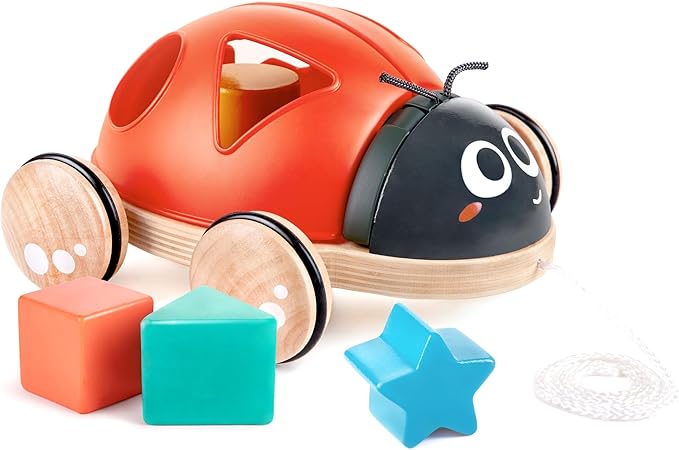 COCCINELLA DELLE FORME - babykid