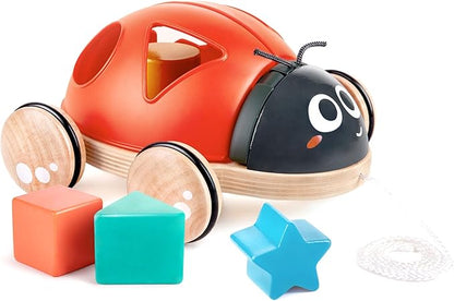 COCCINELLA DELLE FORME - babykid