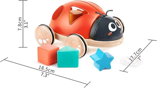 COCCINELLA DELLE FORME - babykid