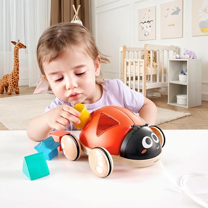 COCCINELLA DELLE FORME - babykid