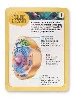 CORPO UMANO (IL) ESPLORO E IMPARO - babykid