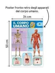 CORPO UMANO (IL) ESPLORO E IMPARO - babykid