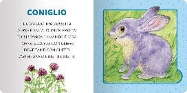 CUCCIOLI - babykid
