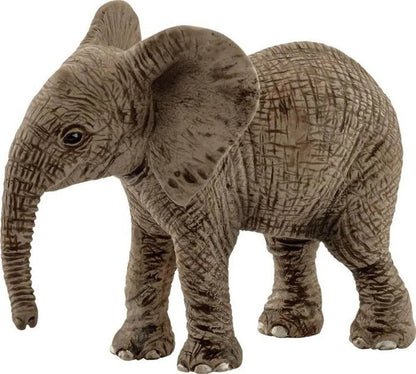 CUCCIOLO DI ELEFANTE AFRICANO (5) - babykid