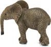CUCCIOLO DI ELEFANTE AFRICANO (5) - babykid