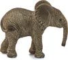 CUCCIOLO DI ELEFANTE AFRICANO (5) - babykid
