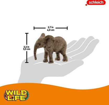 CUCCIOLO DI ELEFANTE AFRICANO (5) - babykid