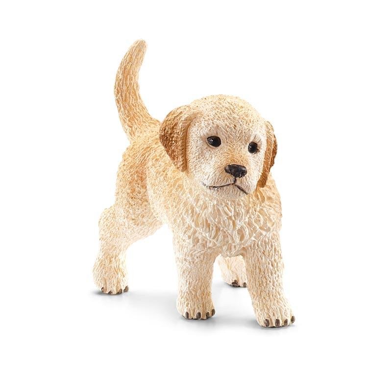 CUCCIOLO DI GOLDEN R - babykid