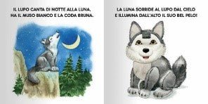 DAMI EDITORE - TOCCA E SENTI - GLI ANIMALI SELVAGGI - babykid