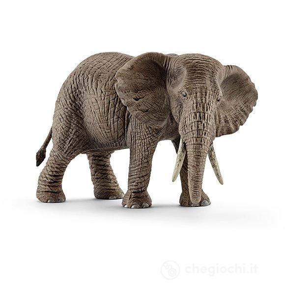 ELEFANTE AFRICANO FEMMINA - babykid