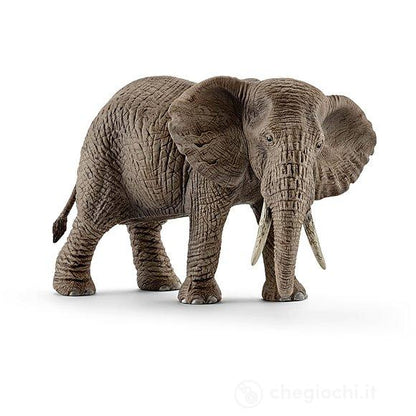 ELEFANTE AFRICANO FEMMINA - babykid