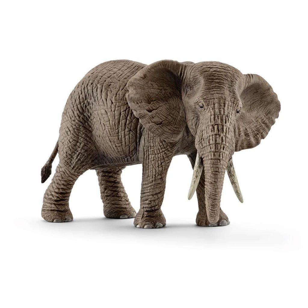 ELEFANTE AFRICANO FEMMINA - babykid