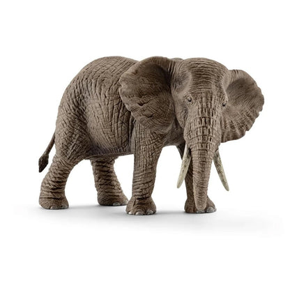 ELEFANTE AFRICANO FEMMINA - babykid