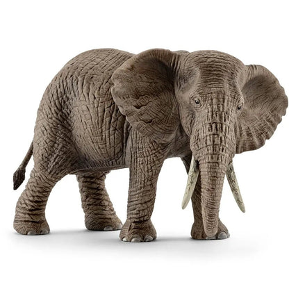 ELEFANTE AFRICANO FEMMINA - babykid