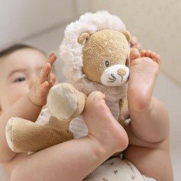 ERNEST IL LEONE - babykid