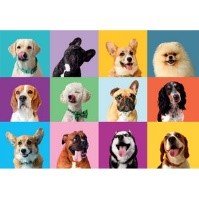 FUNNY FACE 300 PZ - babykid