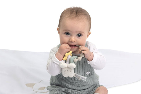 GIOCO MSD ANELLO DENTIZIONE CONIGLIETTO - babykid