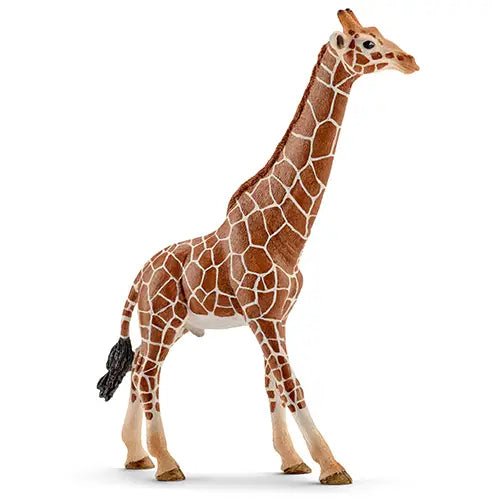 GIRAFFA MASCHIO (5) - babykid