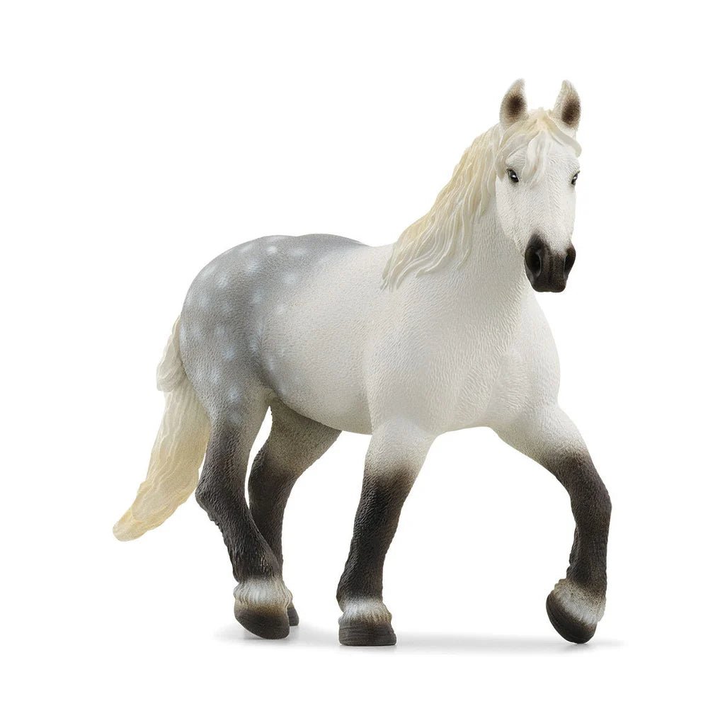 GIUMENTA PERCHERON - babykid