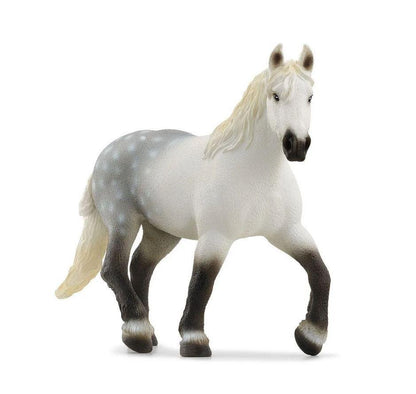 GIUMENTA PERCHERON - babykid