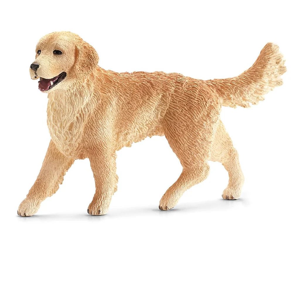GOLDEN RETRIEVER FEMMINA - babykid